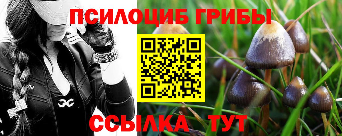 Галлюциногенные грибы Magic Shrooms  Вход с VPN  Кыштым  Псилоцибиновые грибы прущие грибы 